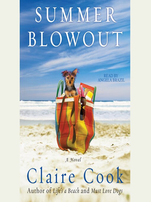 Cover image for Summer Blowout